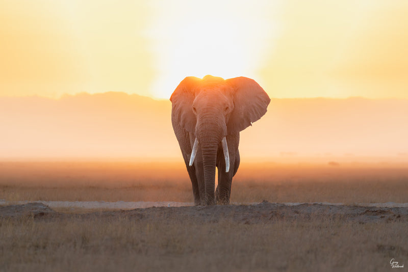 Wild Places, Quiet Lives