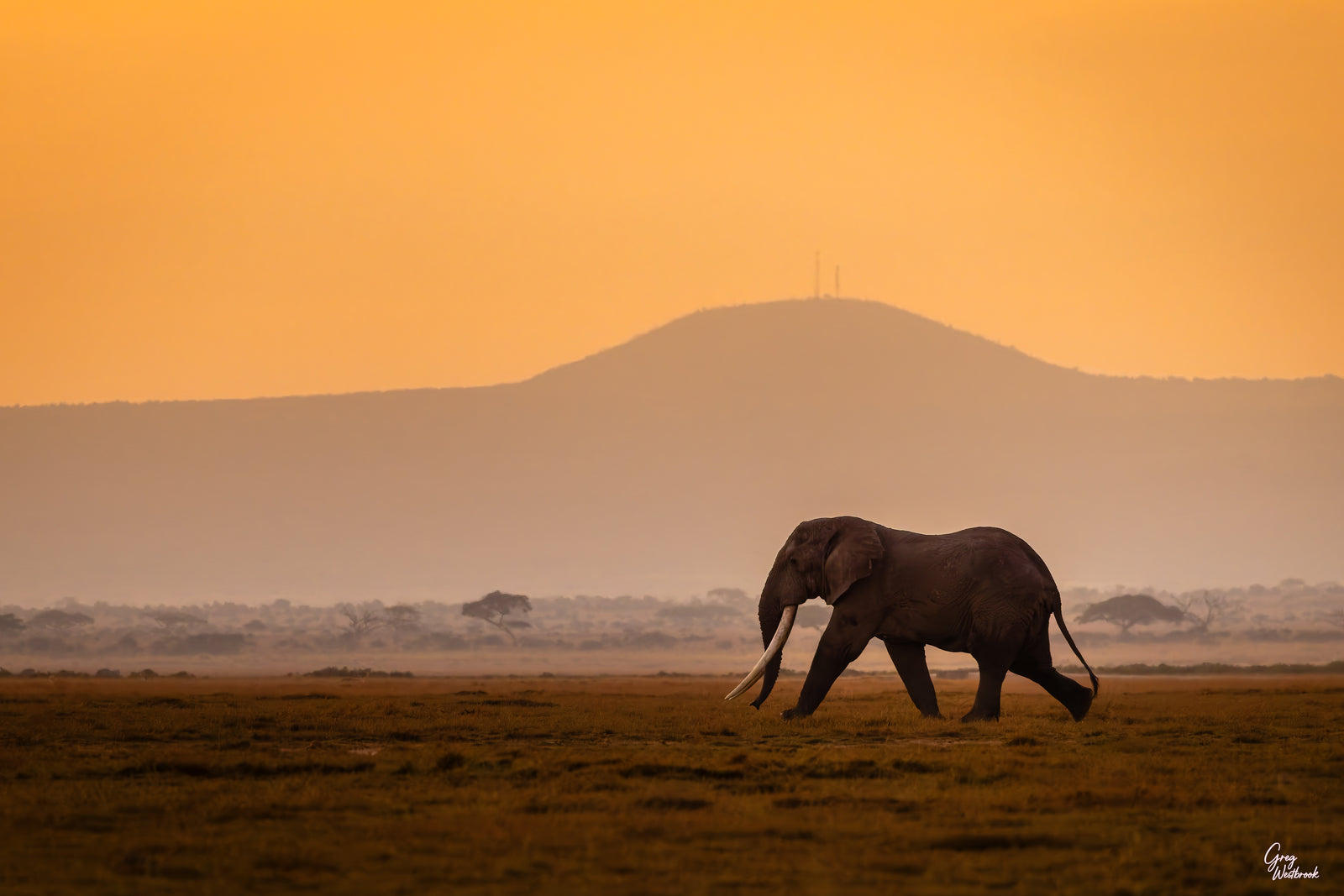 Ancient Passage