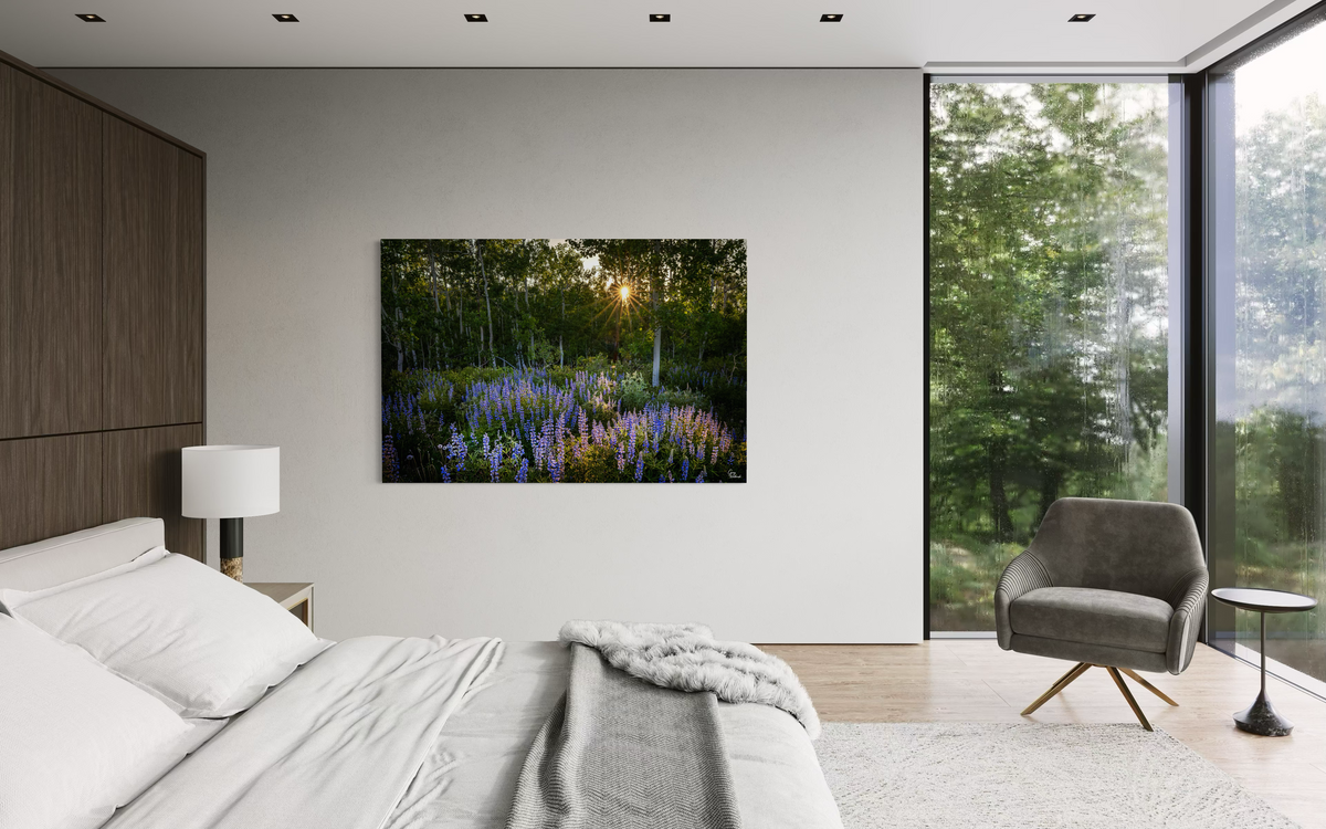 Sunset through the Aspens — Bedroom, Other (48 x 72)