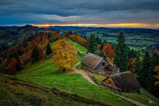 Rolling Swiss countryside glowing at sunset with autumn color and quiet farm buildings fine art photography print by Greg Westbrook