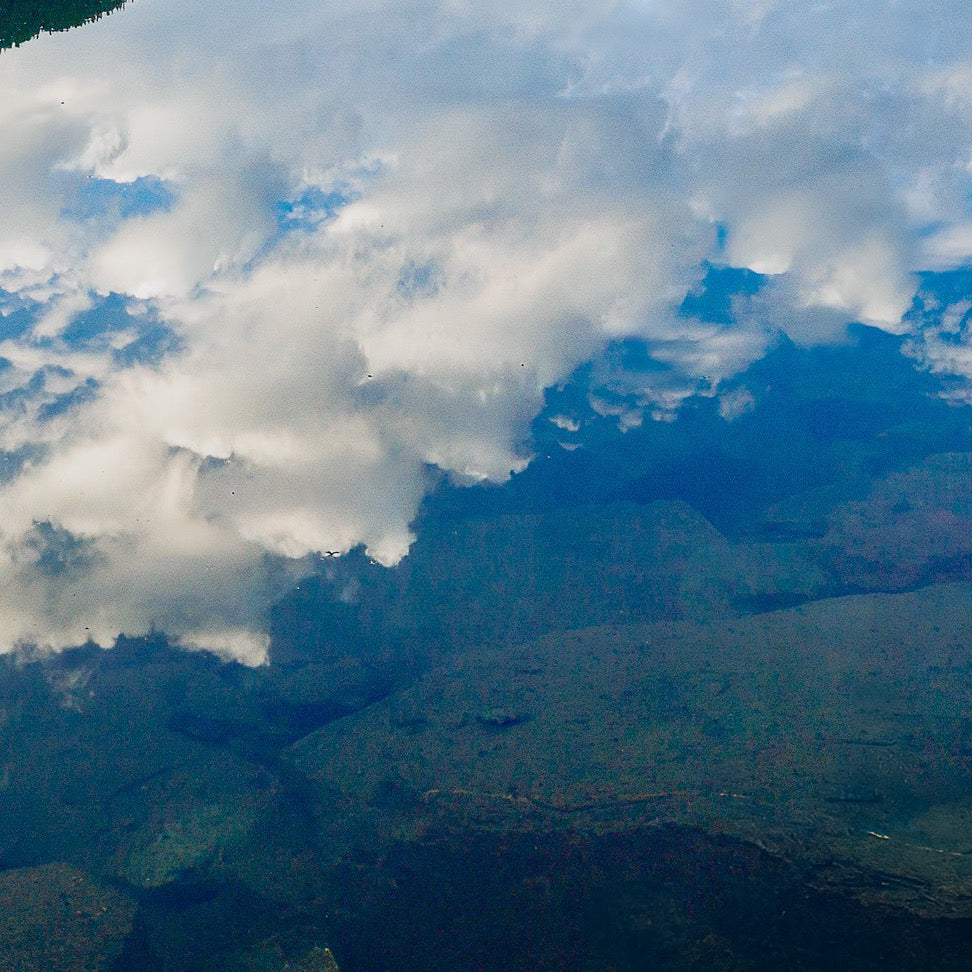 Crystal Calm — Foreground Detail