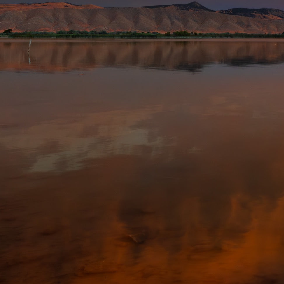 Ember's Reflection — Foreground Detail