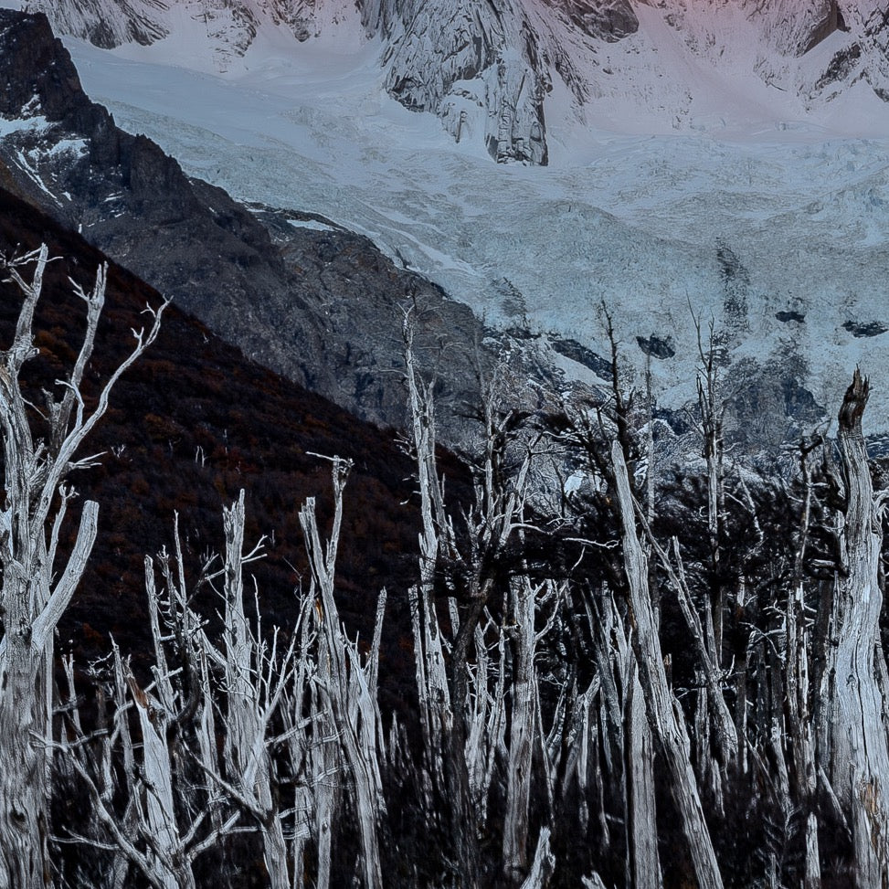 Enduring Silence — Foreground Detail