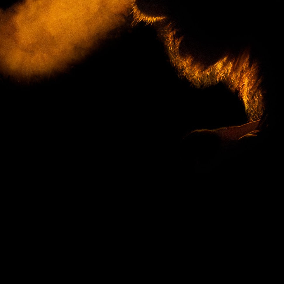 Kings Nocturne — Foreground Detail