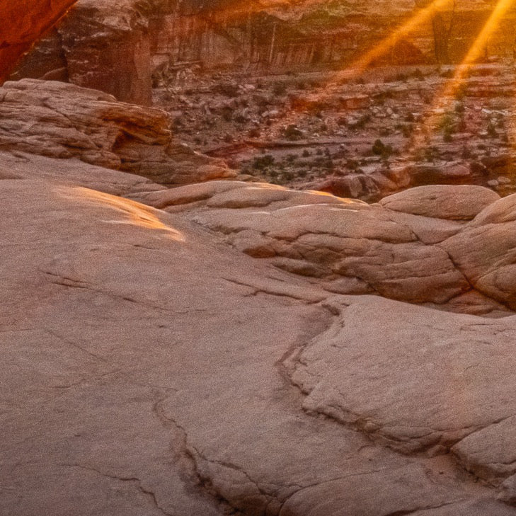 Radiance at Daybreak — Foreground Detail