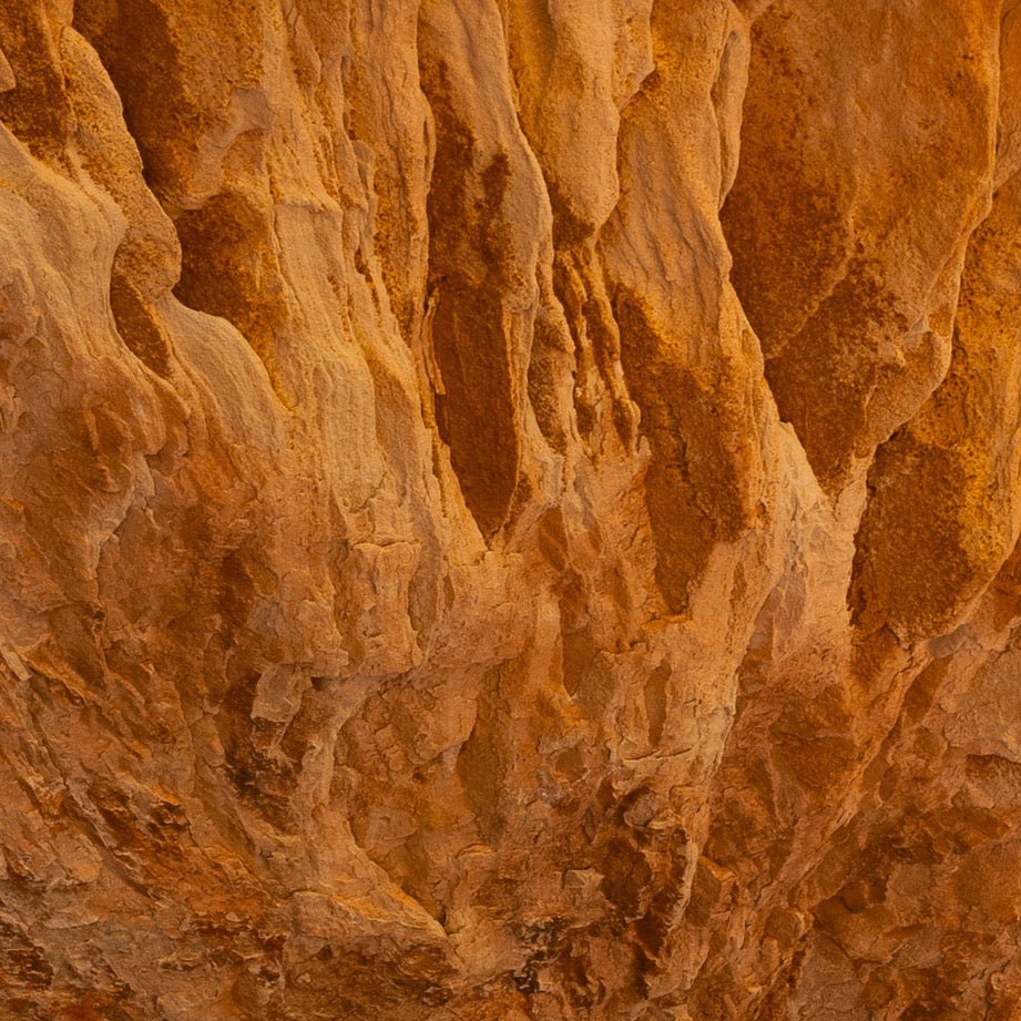 Redrock Firelight — Central Subject