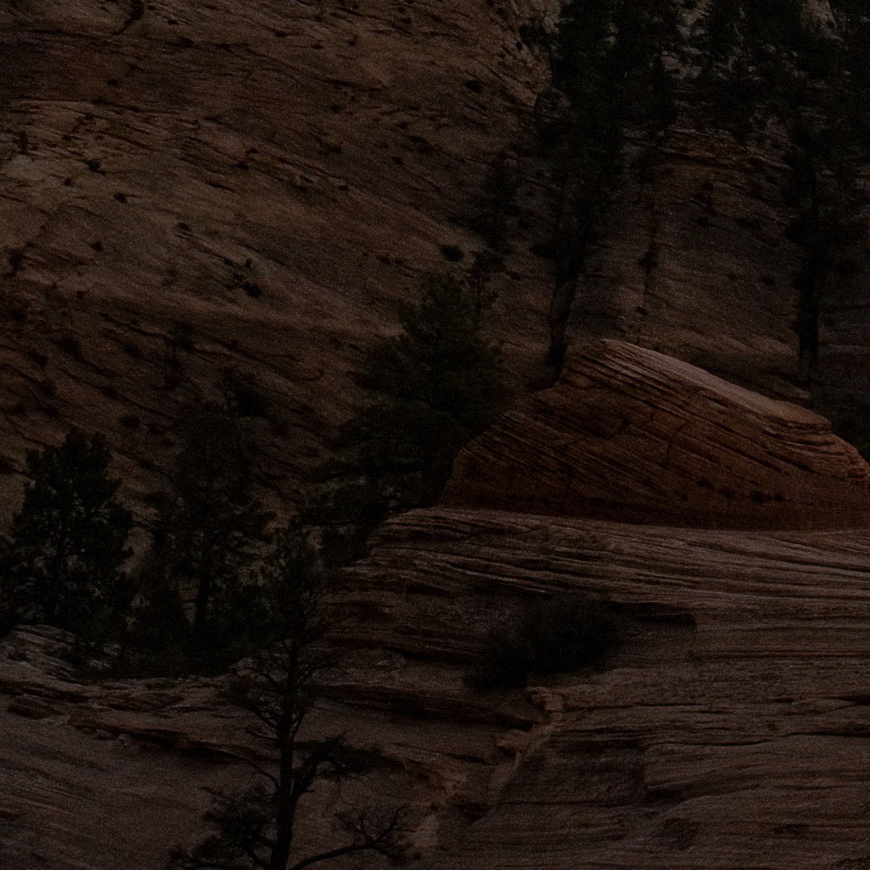 Starlit Sentinel — Foreground Detail