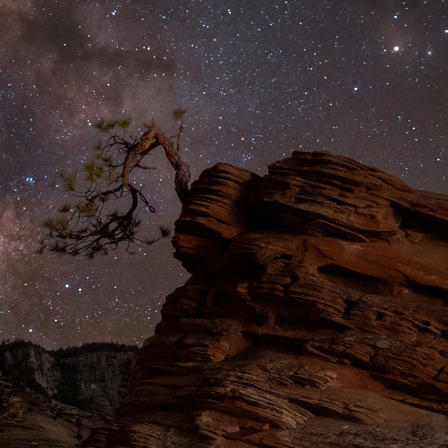 Starlit Sentinel — Texture Study