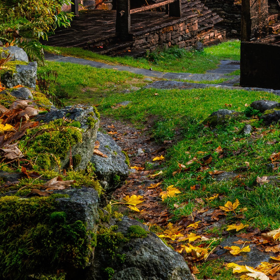 Stone and Silence — Foreground Detail