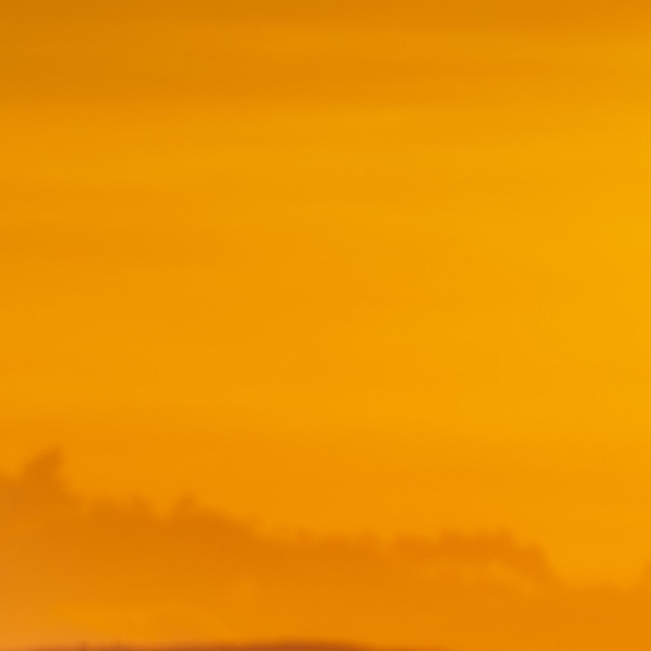 Tender Moment, Golden Light — Texture Study