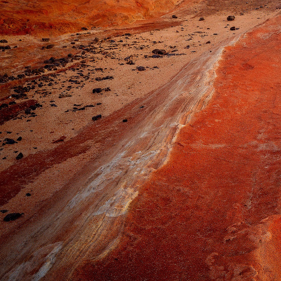 Red Tide — Foreground Detail