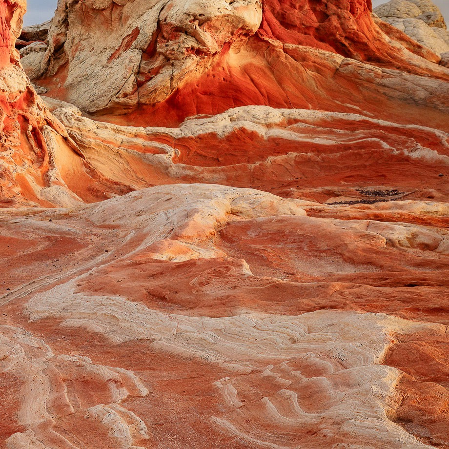 Red Tide — Texture Study