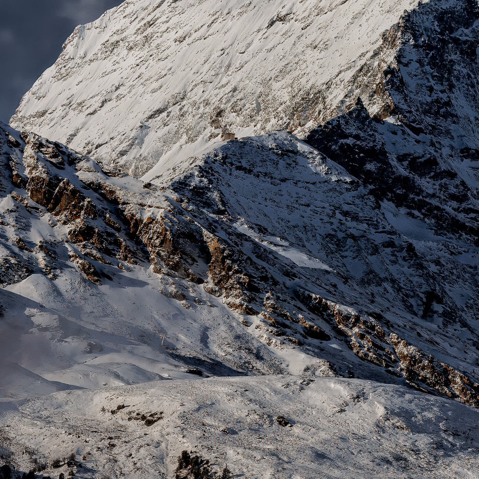 Unyielding — Foreground Detail