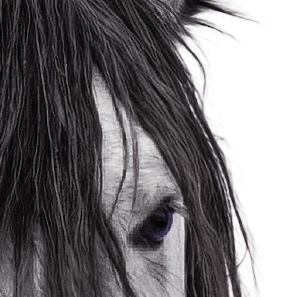 Wild and Free - Portrait — Foreground Detail