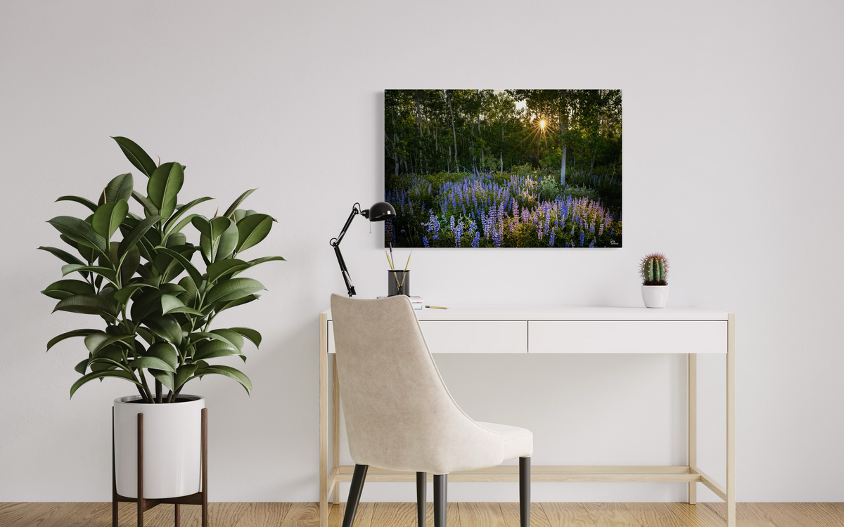 Sunset through the Aspens — Executive Office, Office credenza (24 x 36, Metal)