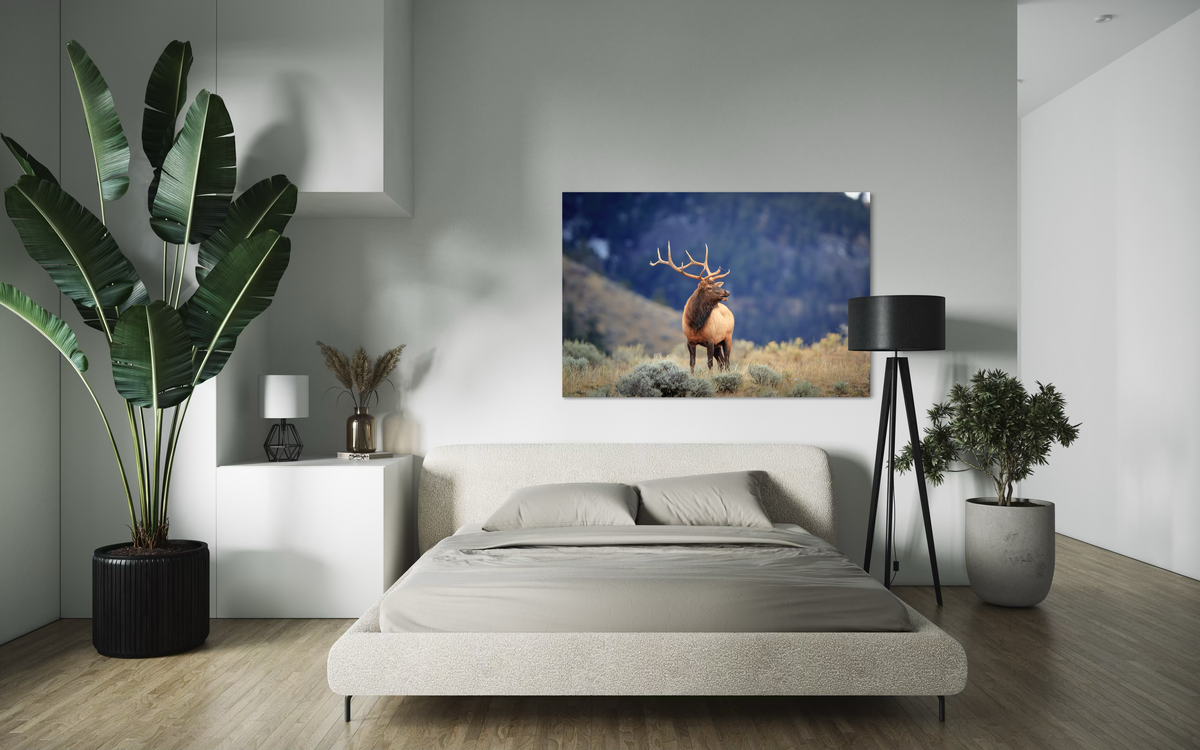 Prince of Mammoth — Bedroom, Above bed (48 x 72, Metal)
