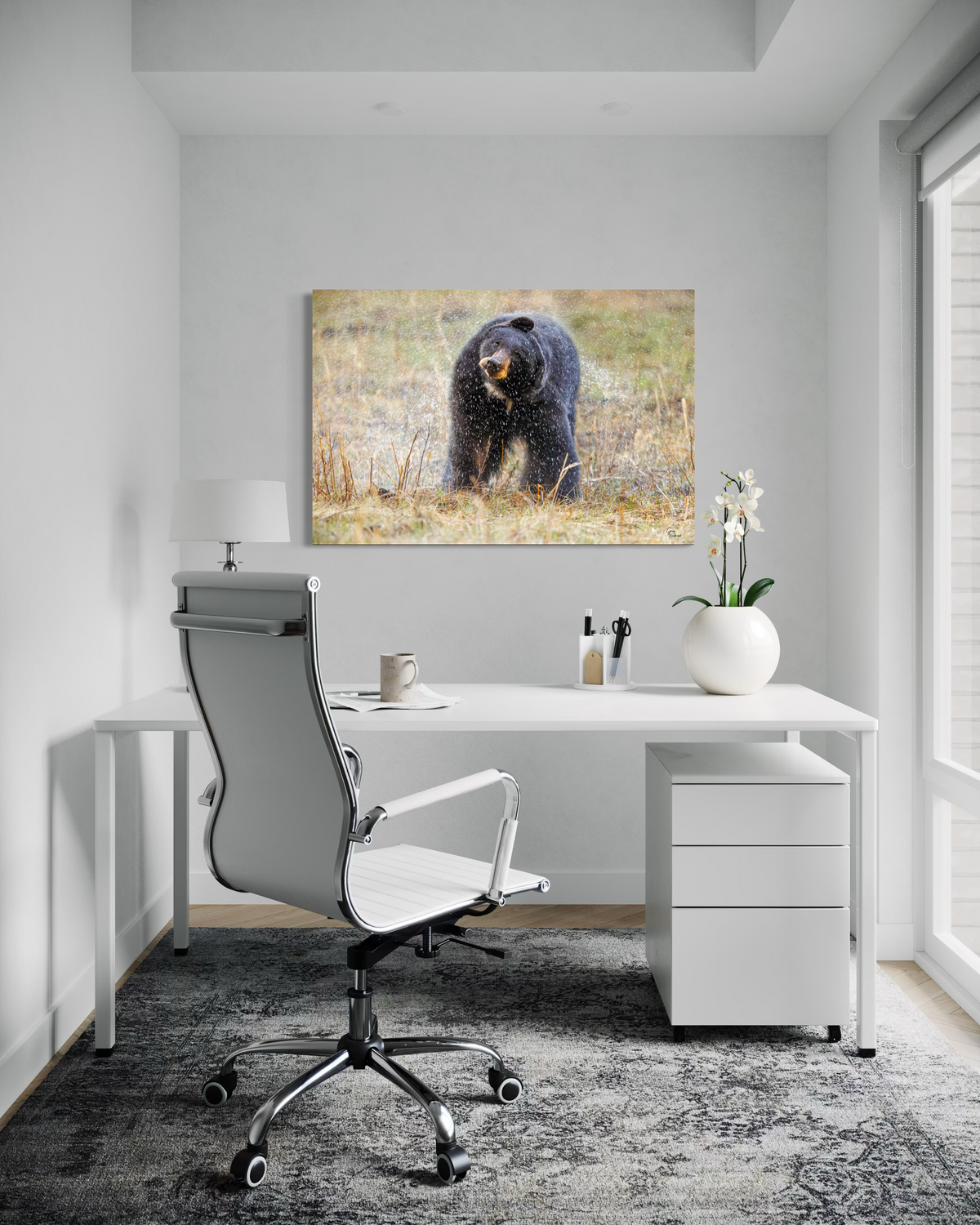Shake it Off — Executive Office, Office credenza (32 x 48, Metal)