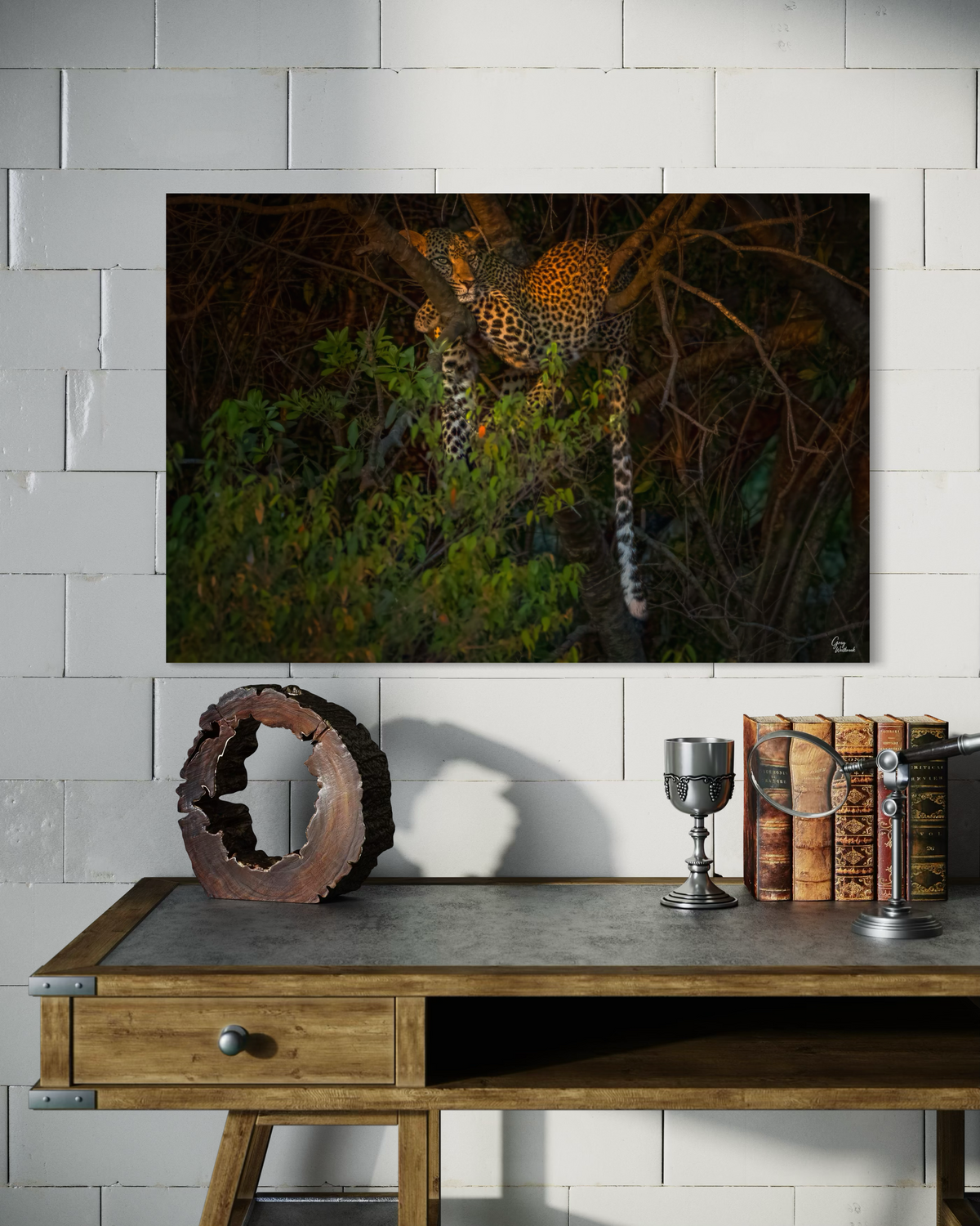 Golden Gaze — Executive Office, Office credenza (24 x 36, Metal)