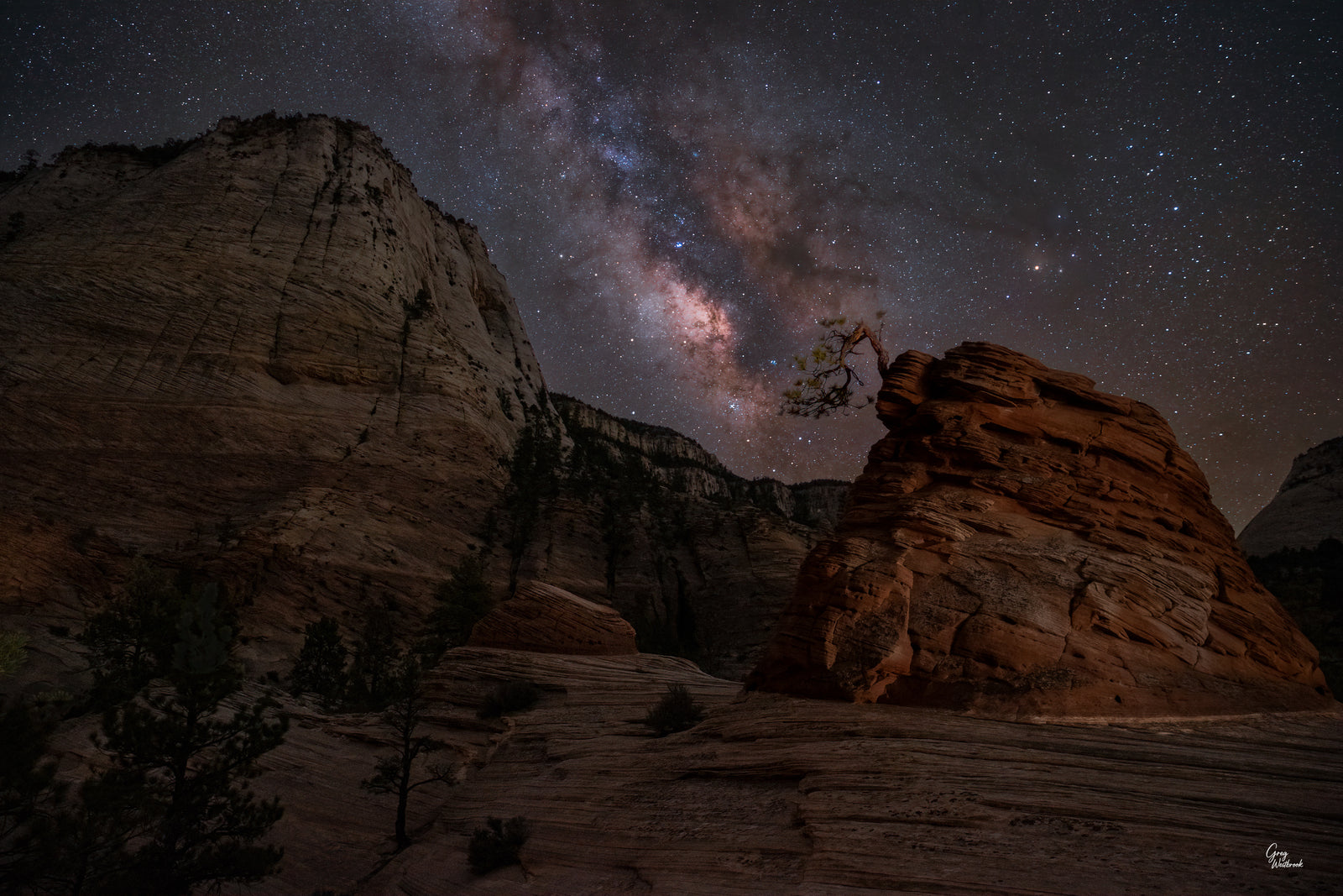 Small tree perched on sandstone beneath the Milky Way in Zion National Park