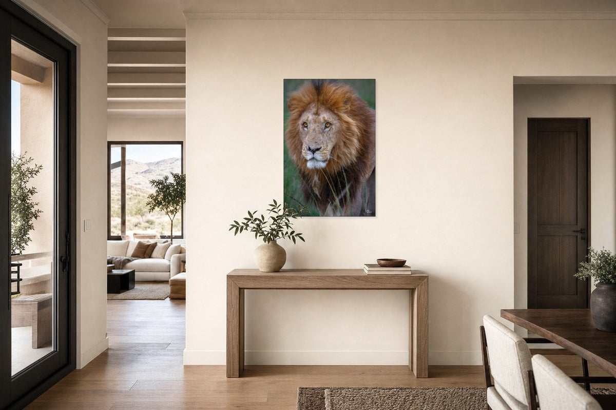 The Veteran — Entryway, Entry wall (24 x 36, Metal)