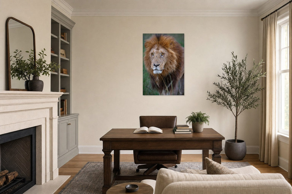 The Veteran — Other, Office credenza (24 x 36, Metal)