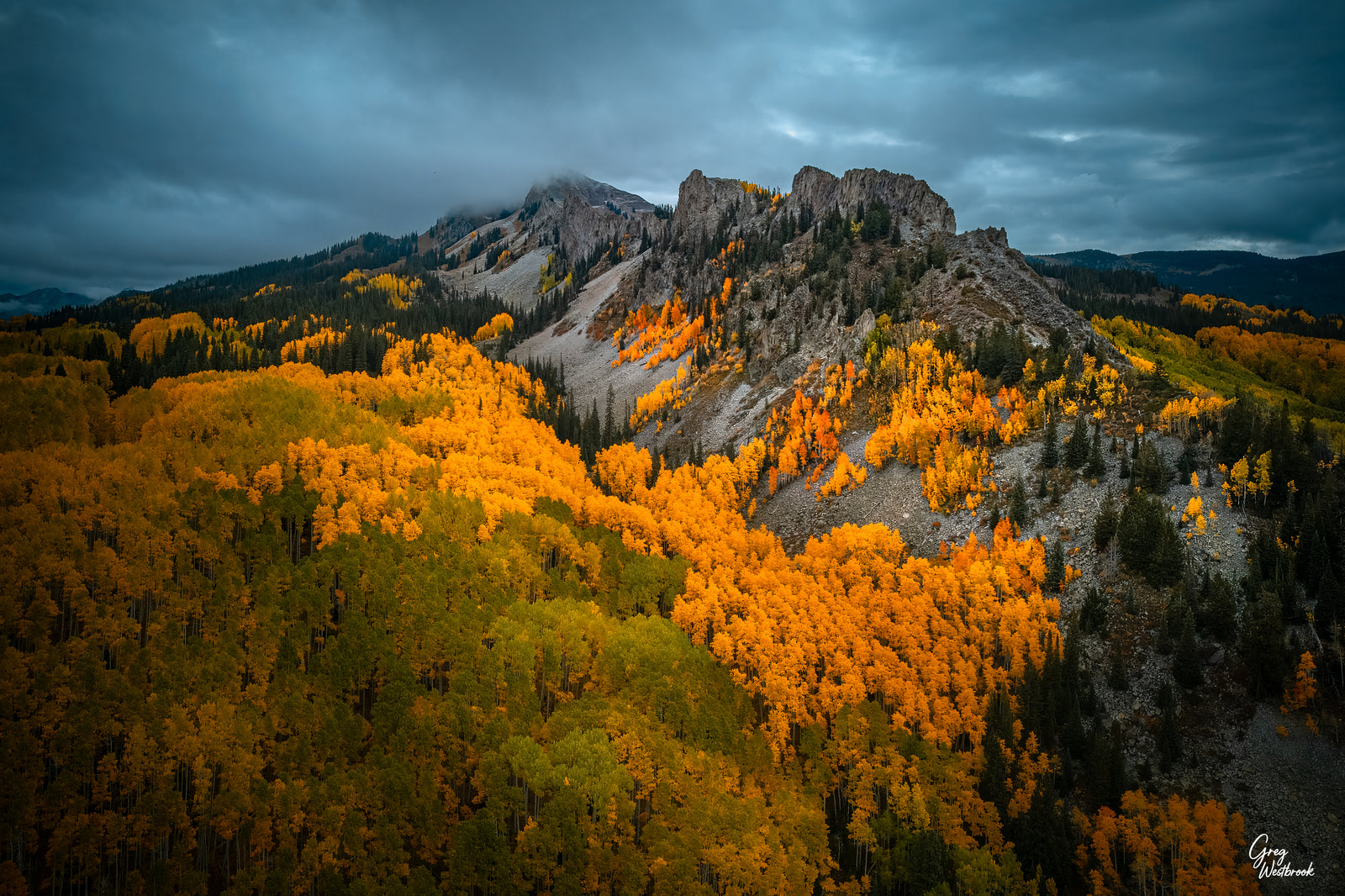 Golden aspen forest flowing across a mountainside beneath a soft, overcast sky