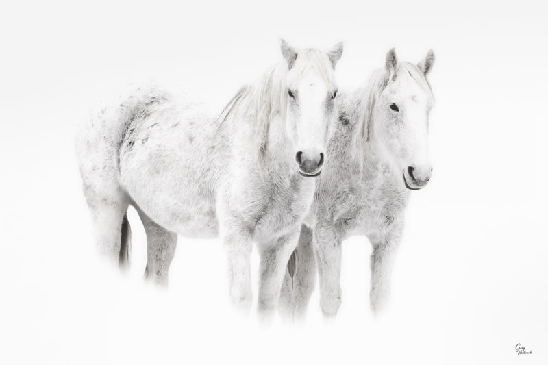 White Whisper