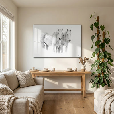 White Whisper in a modern living room